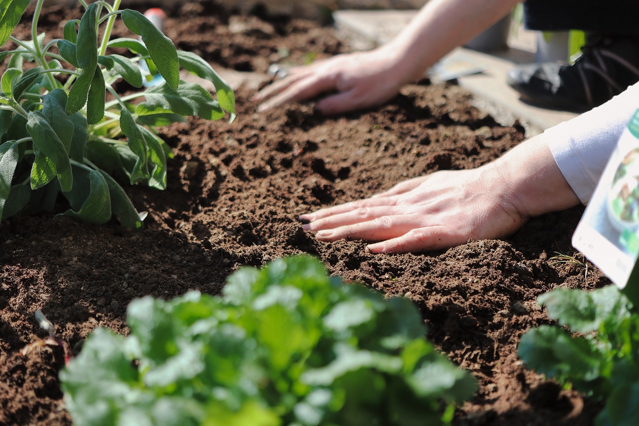 Community Garden